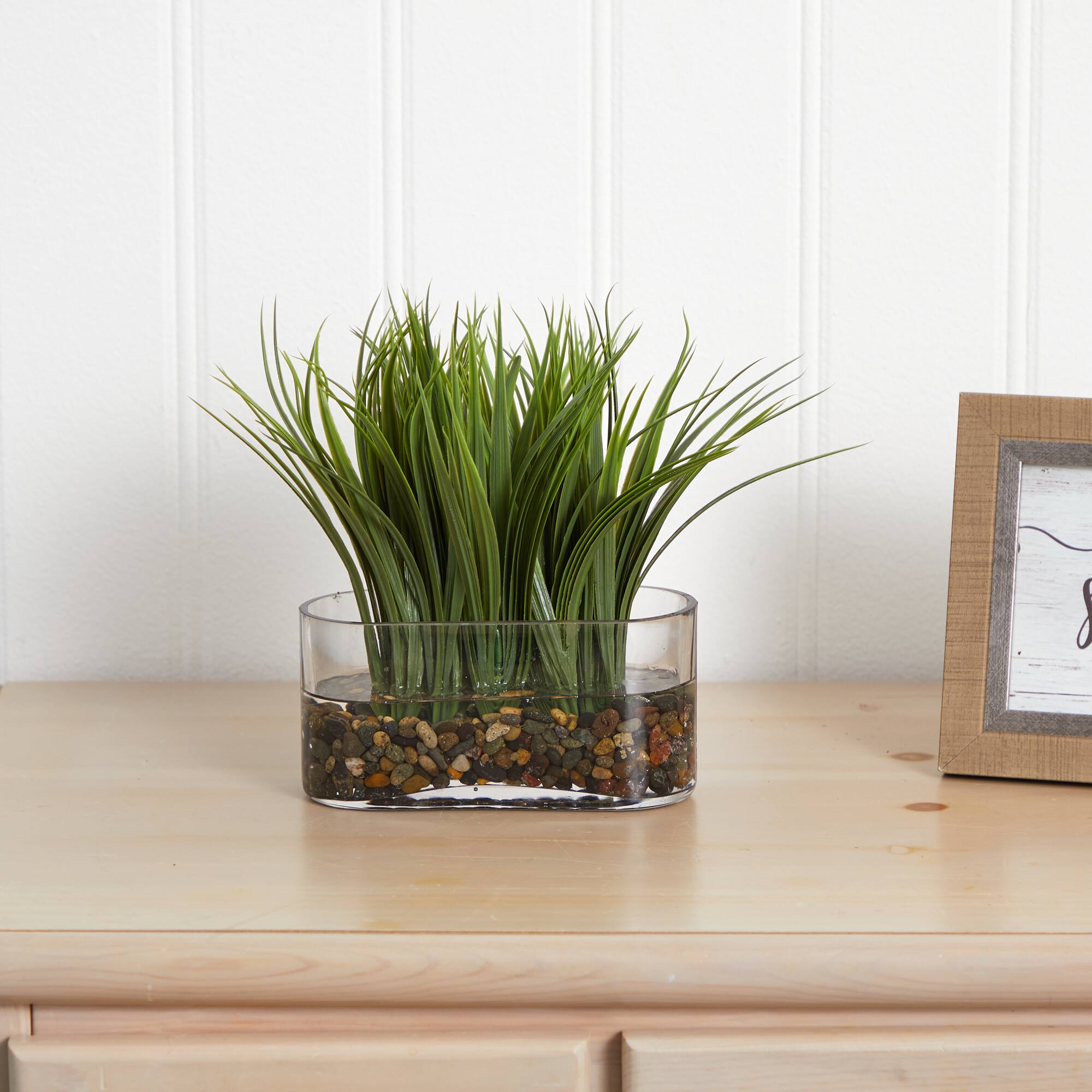 9'' Vanilla Grass Plant in Clear Oval Vase